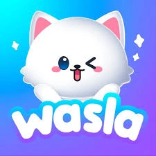 وصلة شات